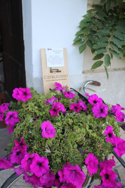 Cefalicchio B&B Canosa di Puglia Exterior photo